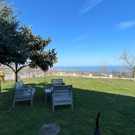 Villa Black Sea *
